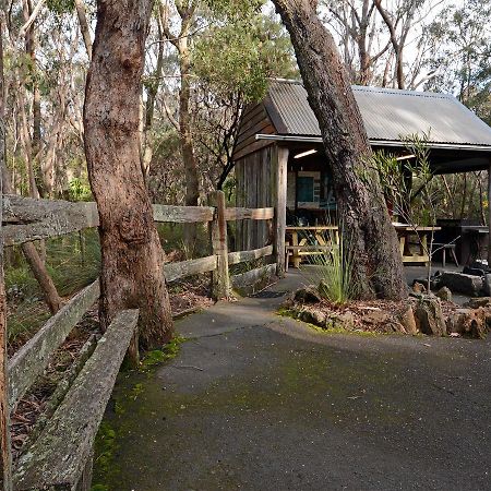 Jemby Rinjah Ecolodge Blackheath Exterior foto