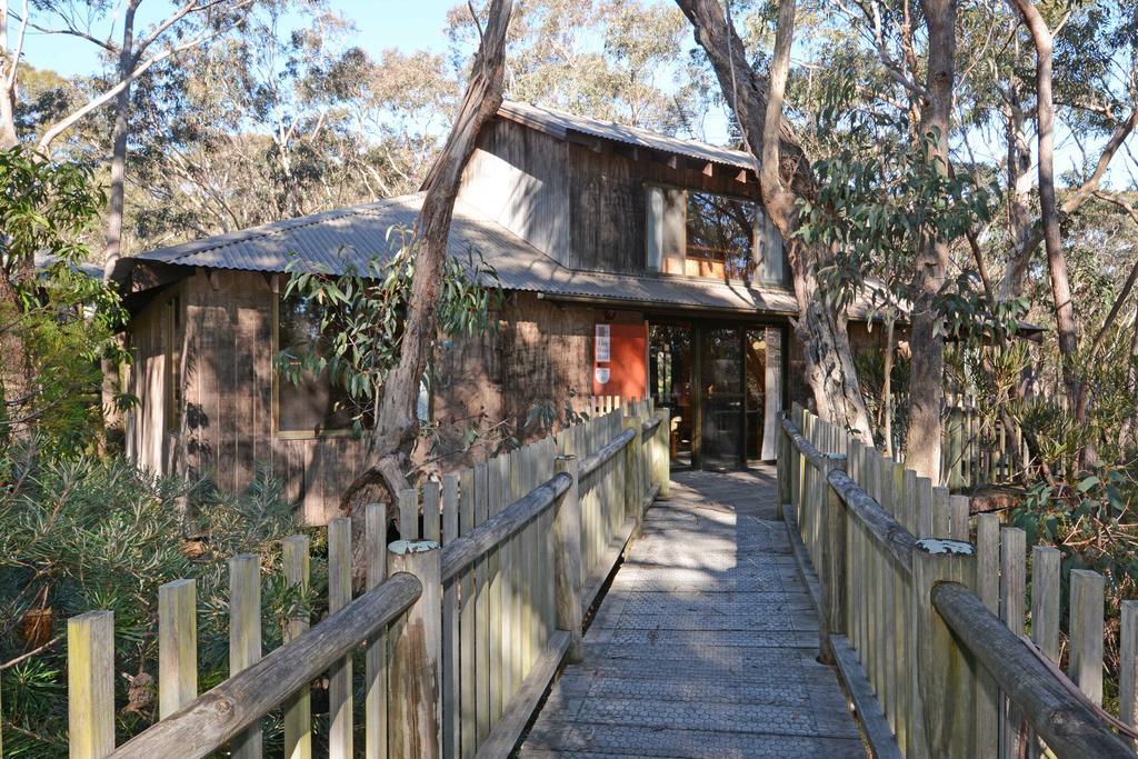 Jemby Rinjah Ecolodge Blackheath Quarto foto